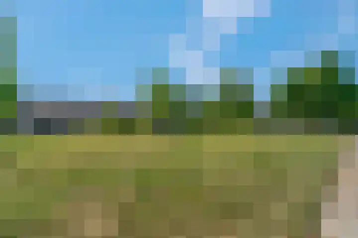 Sperwerkamp 1 Driebergen-Rijsenburg thumbnail 56