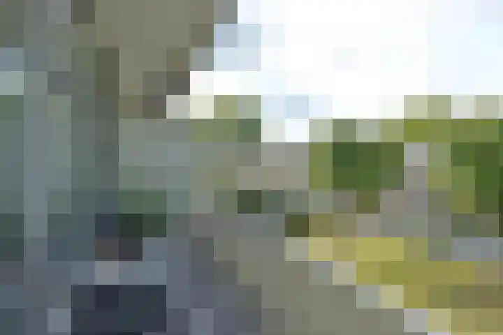 Sperwerkamp 87 Driebergen-Rijsenburg thumbnail 24