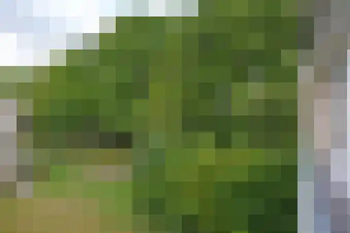 Sperwerkamp 87 Driebergen-Rijsenburg thumbnail 26