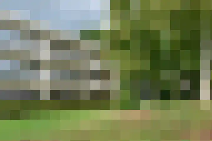 Sperwerkamp 87 Driebergen-Rijsenburg thumbnail 30