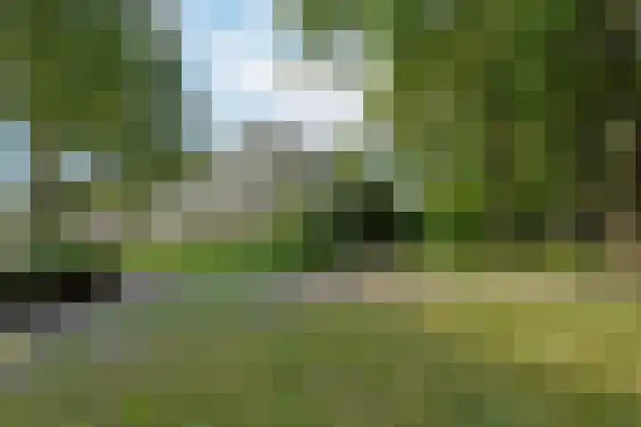 Sperwerkamp 87 Driebergen-Rijsenburg thumbnail 34