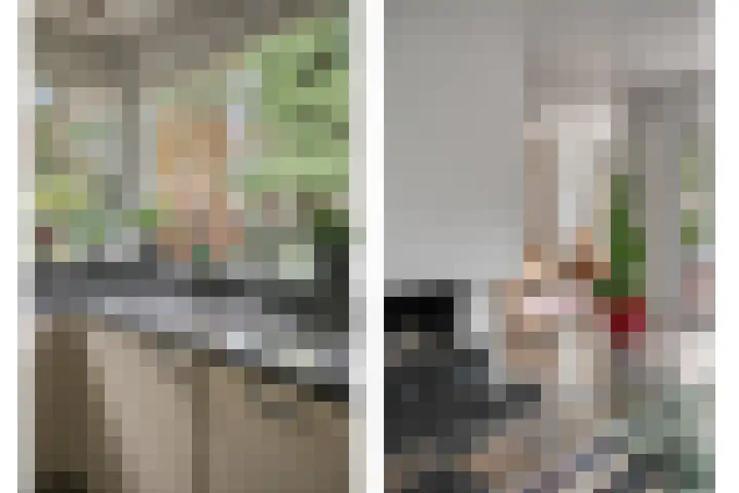 Sperwerlaan 1 Maarheeze thumbnail 25