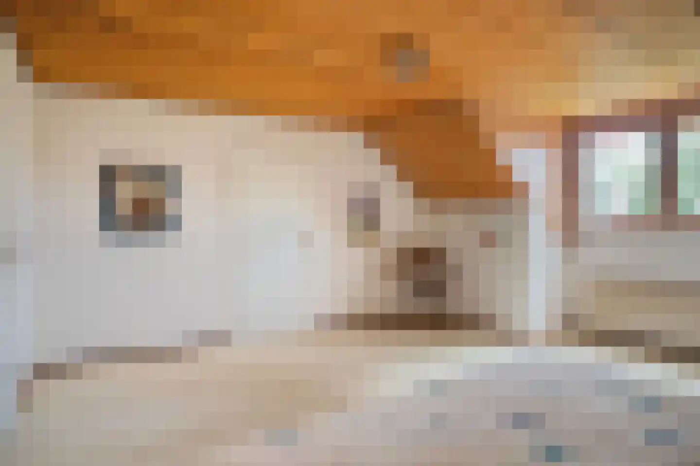 Sperwerlaan 1 Maarheeze thumbnail 38
