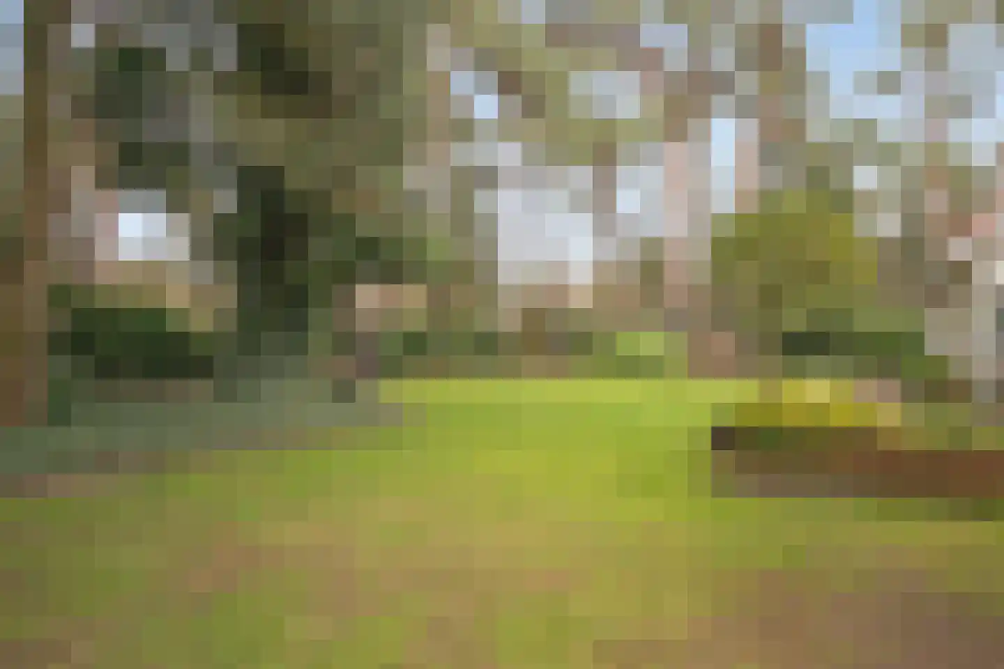 Sperwerlaan 1 Maarheeze thumbnail 4