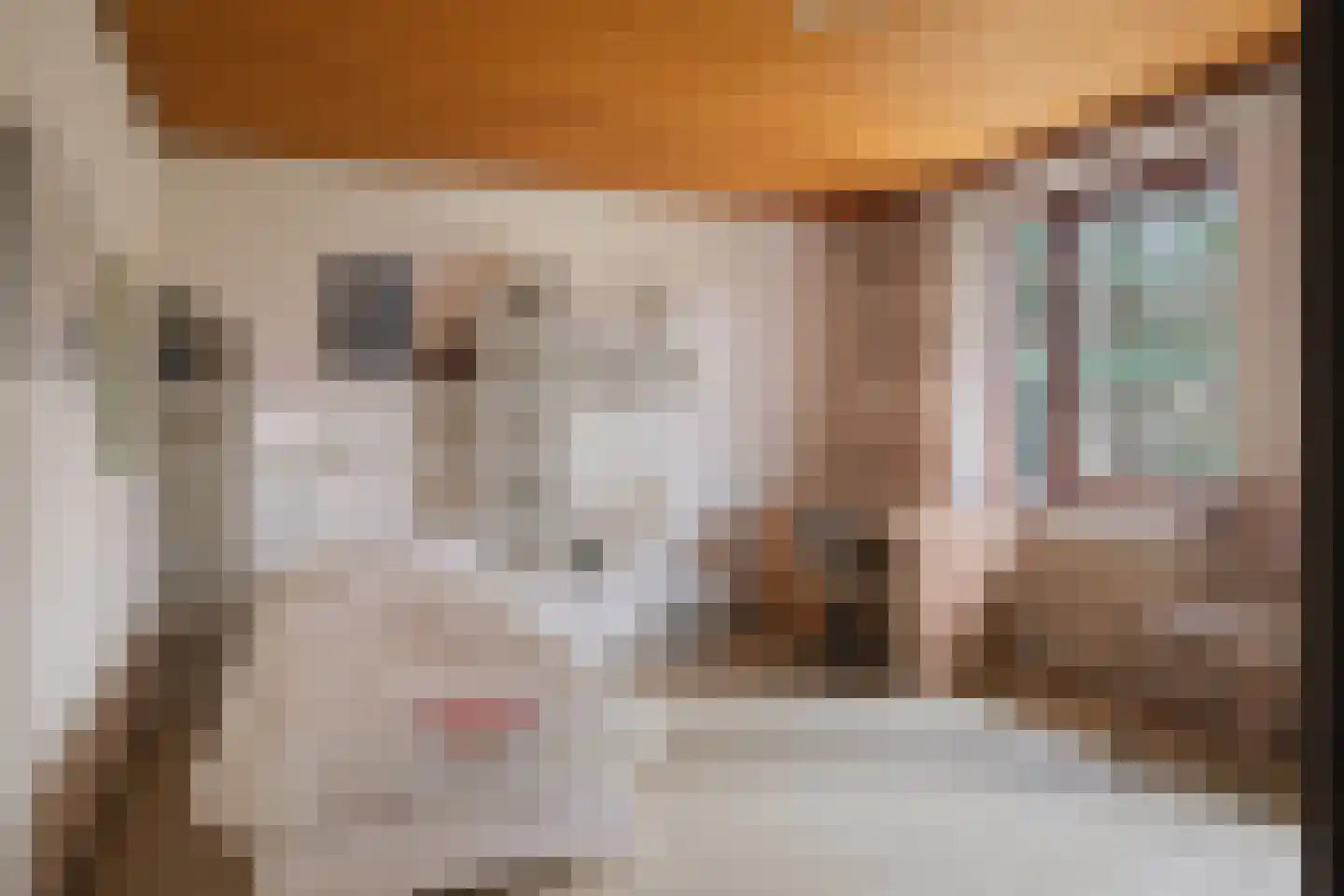 Sperwerlaan 1 Maarheeze thumbnail 41