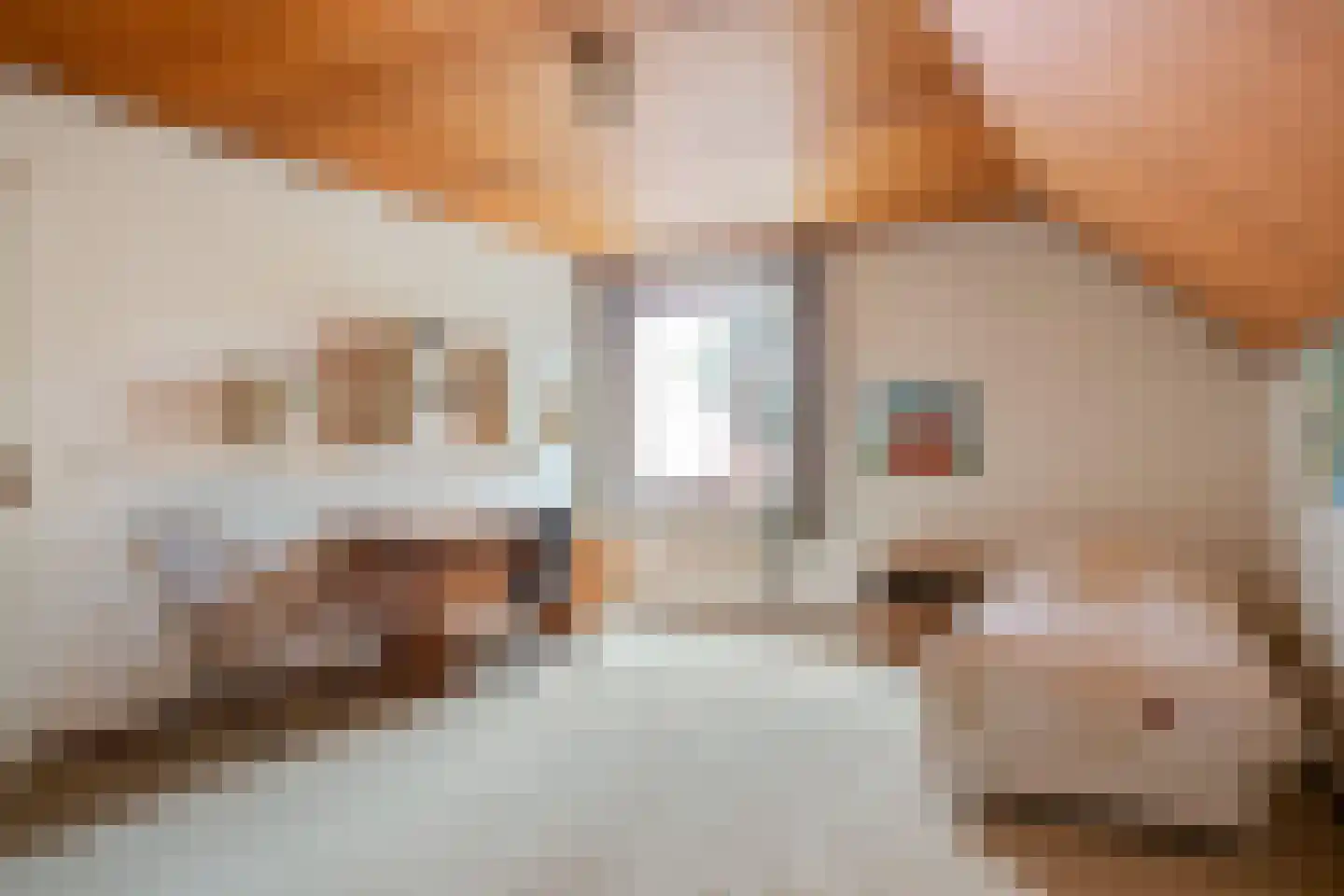 Sperwerlaan 1 Maarheeze thumbnail 43
