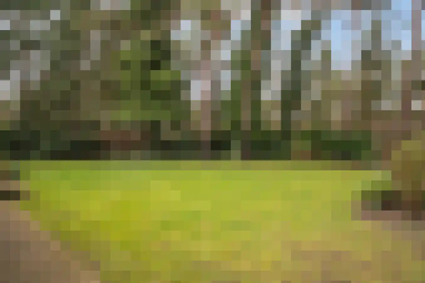 Sperwerlaan 1 Maarheeze thumbnail 48