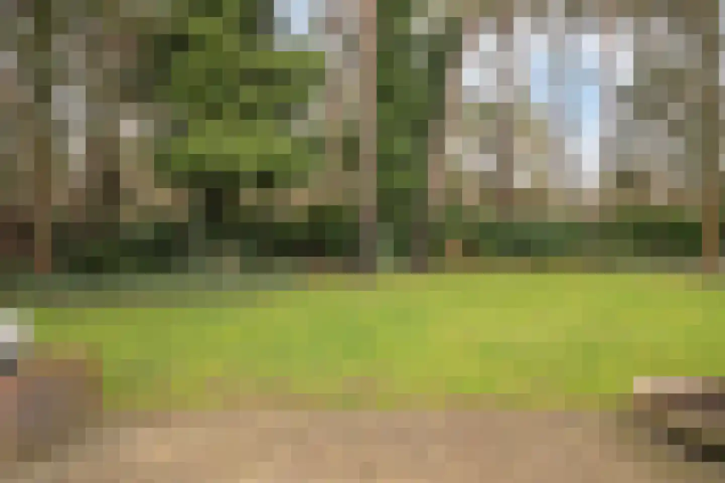 Sperwerlaan 1 Maarheeze thumbnail 49