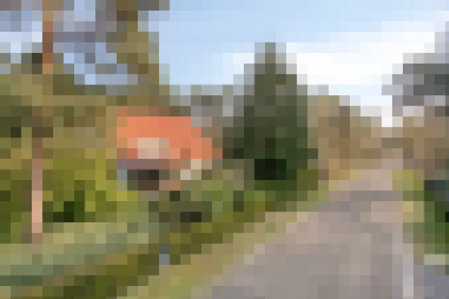 Sperwerlaan 1 Maarheeze thumbnail 56