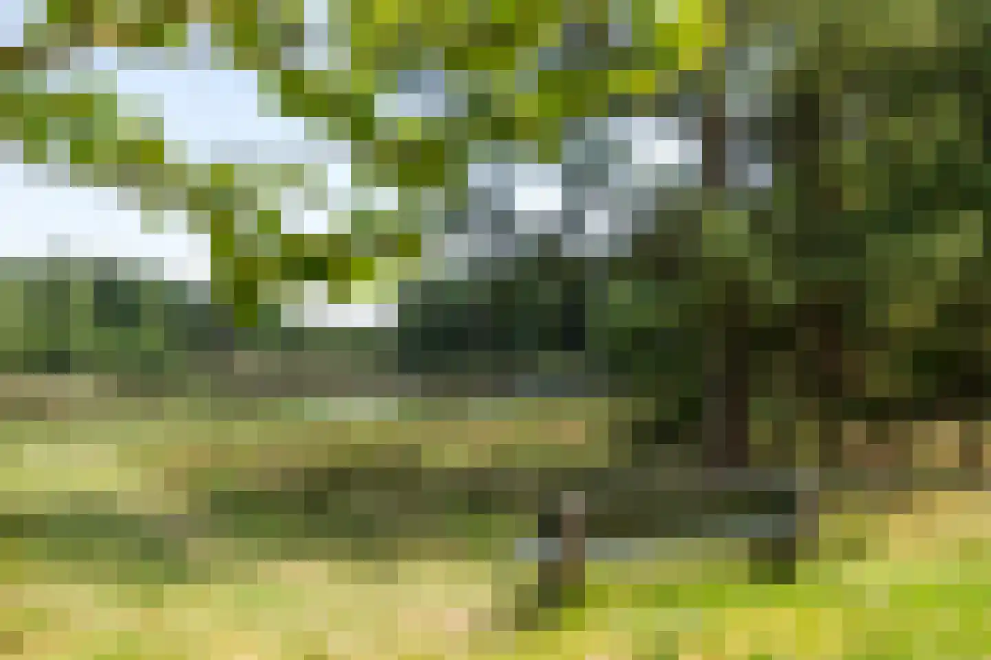 Sperwerlaan 1 Maarheeze thumbnail 58