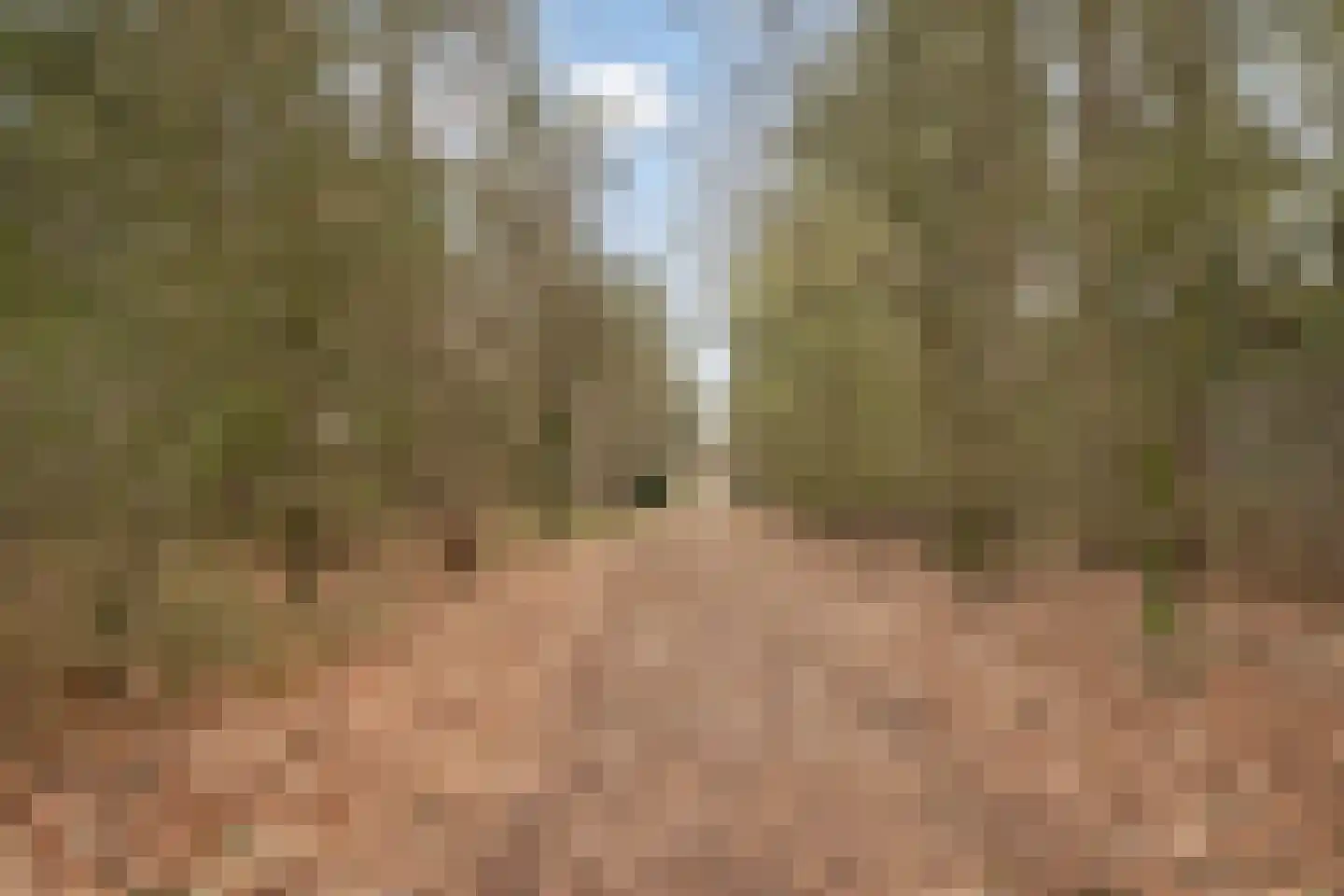 Sperwerlaan 1 Maarheeze thumbnail 60