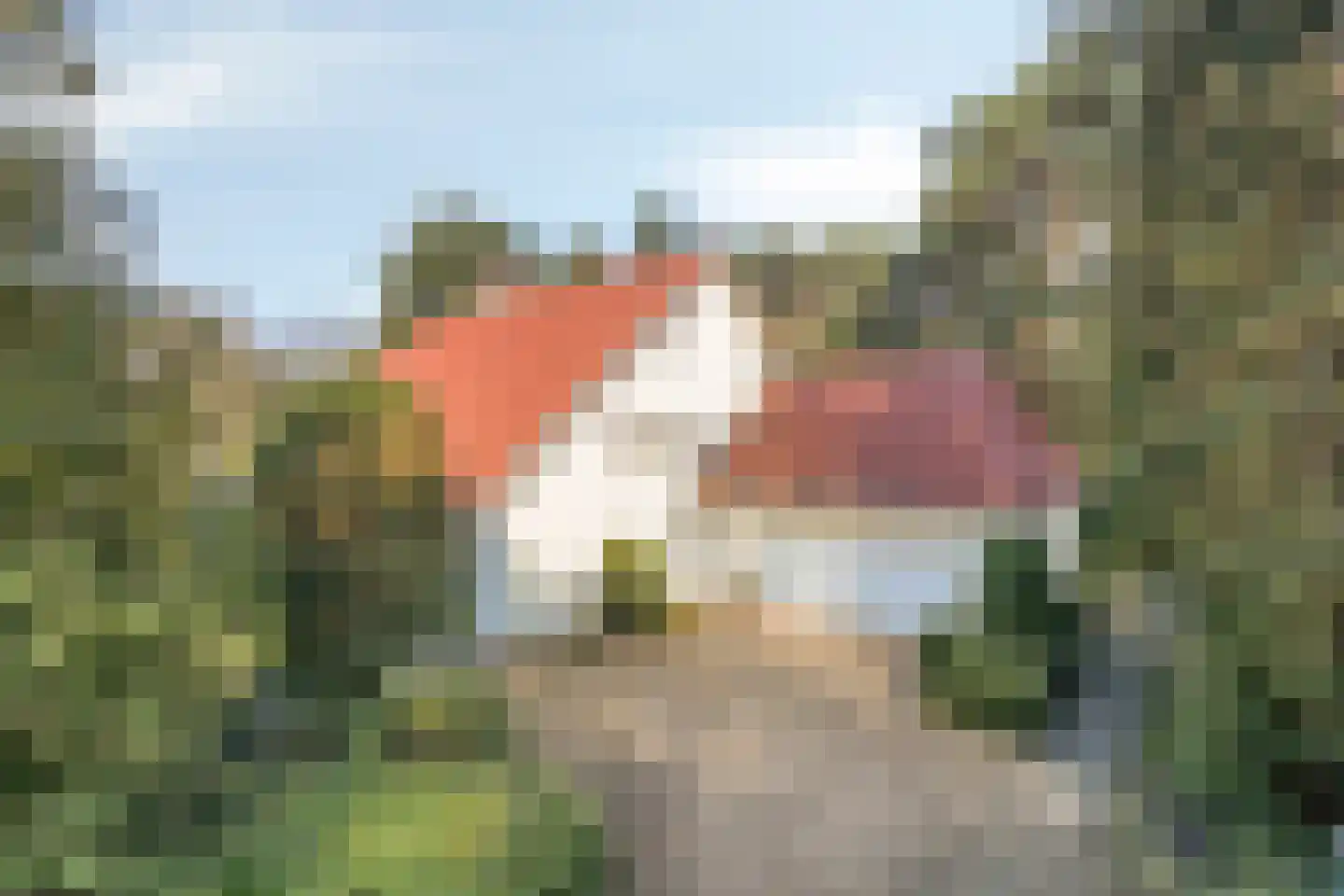Sperwerlaan 1 Maarheeze thumbnail 7