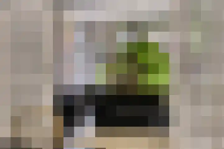 Sperwerlaan 11 Eindhoven thumbnail 11