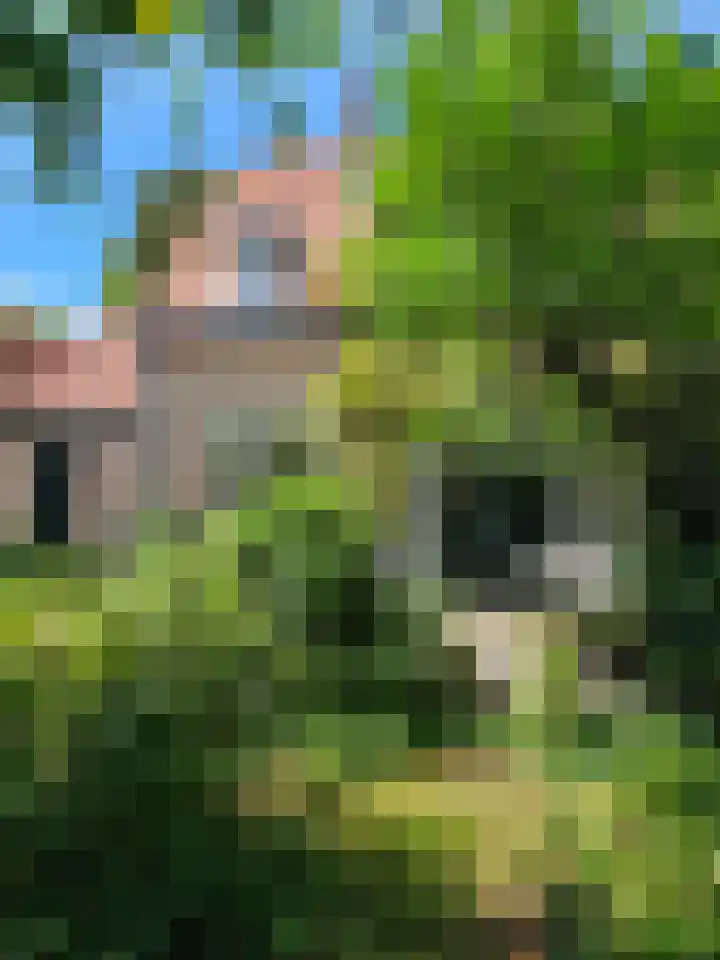 Sperwerlaan 11 Eindhoven thumbnail 27