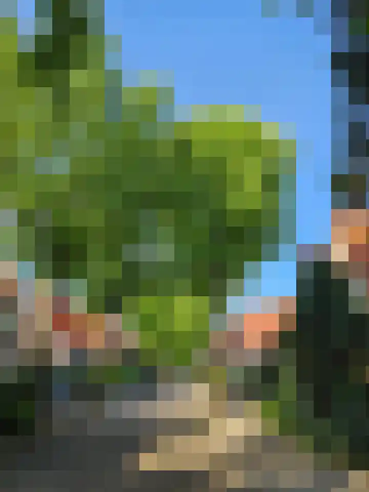 Sperwerlaan 11 Eindhoven thumbnail 32
