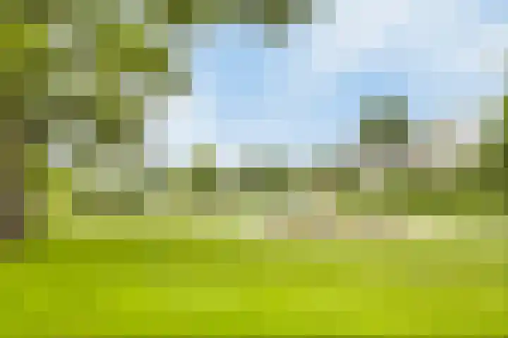 Sperwerlaan 11 Eindhoven thumbnail 34
