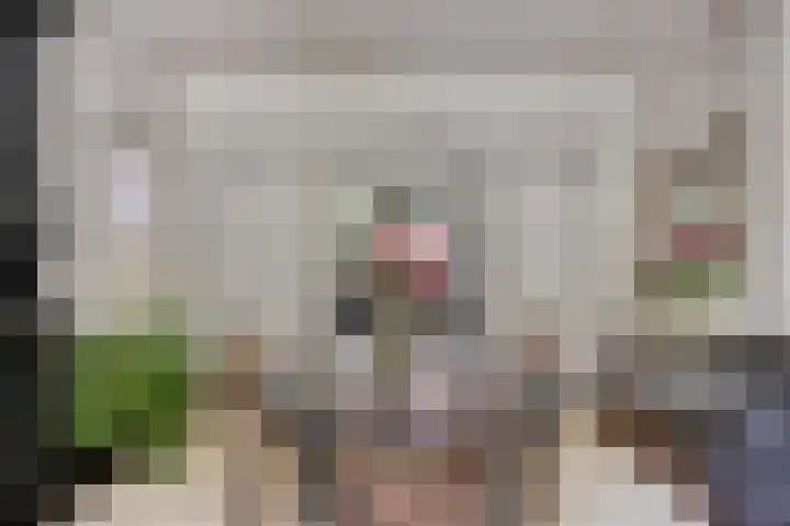 Sperwerlaan 11 Eindhoven thumbnail 6