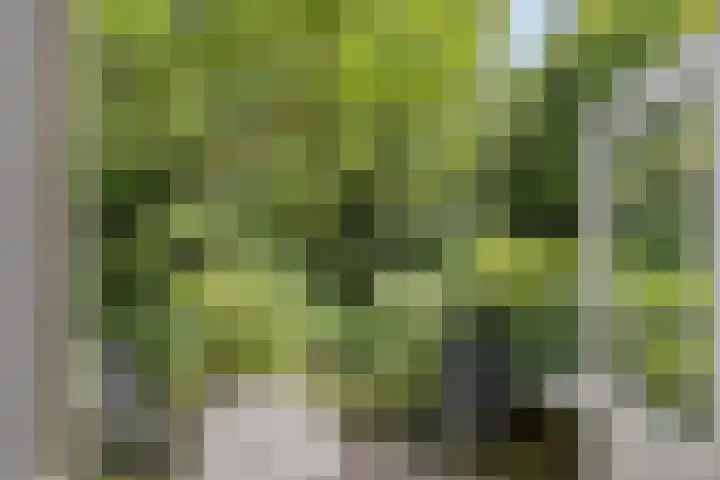 Sperwerlaan 11 Eindhoven thumbnail 8