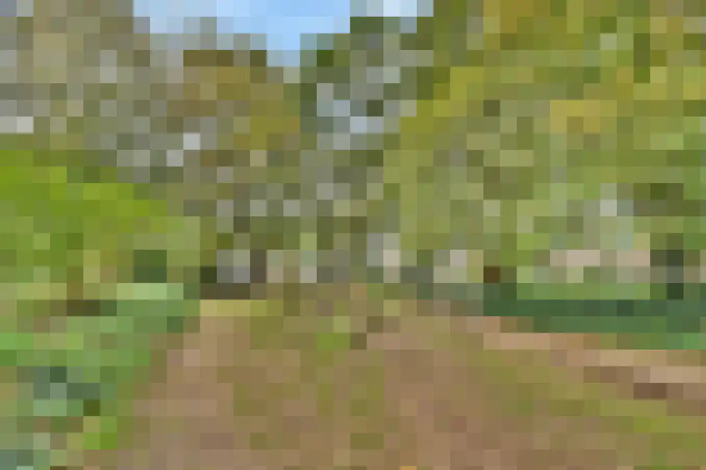 Sperwerlaan 125 Vlaardingen thumbnail 25