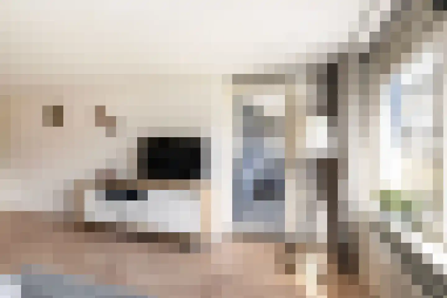 Sperwerlaan 127 Vlaardingen thumbnail 15