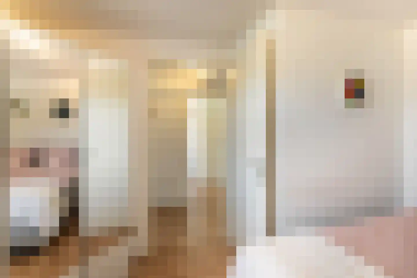 Sperwerlaan 127 Vlaardingen thumbnail 28