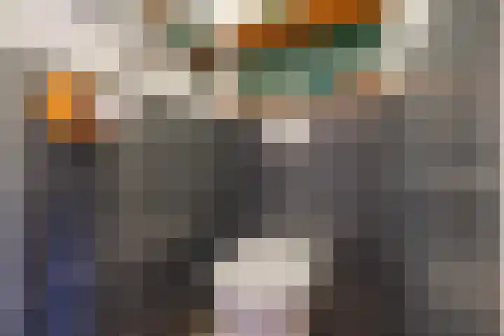 Sperwerlaan 13 Hoogeveen thumbnail 13