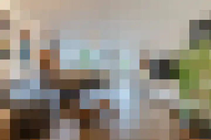 Sperwerlaan 13 Hoogeveen thumbnail 17