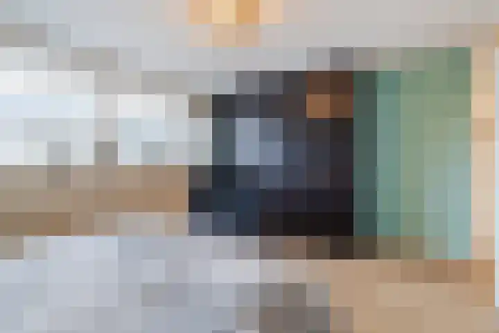 Sperwerlaan 13 Hoogeveen thumbnail 31