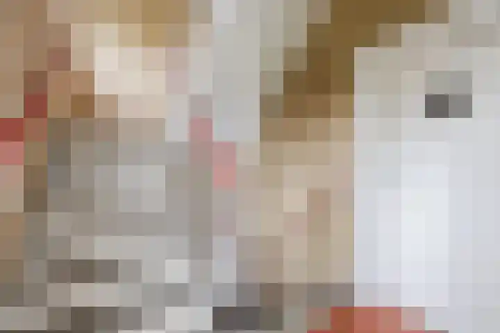 Sperwerlaan 13 Hoogeveen thumbnail 7