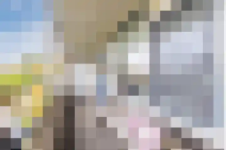 Sperwerlaan 13 Hoogeveen thumbnail 8
