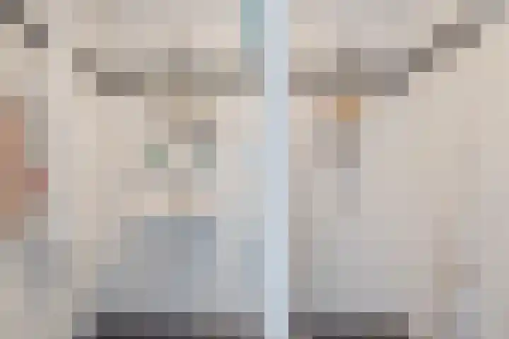 Sperwerlaan 133 Hoogeveen thumbnail 36