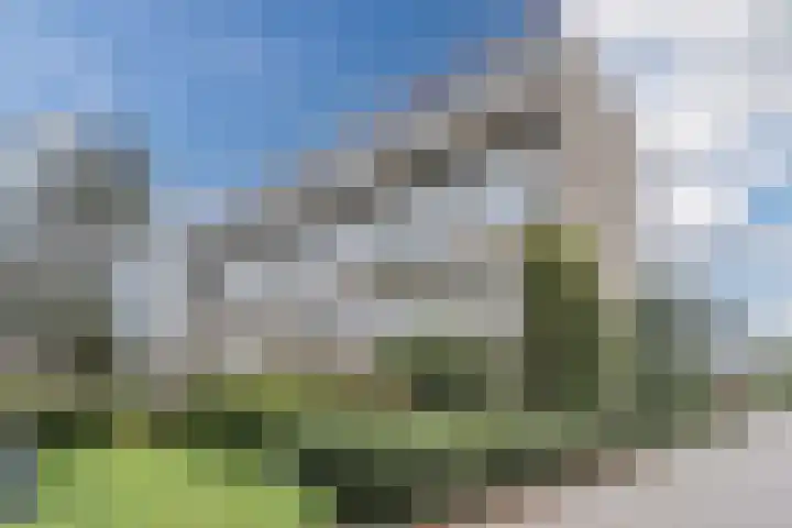 Sperwerlaan 133 Hoogeveen thumbnail 40