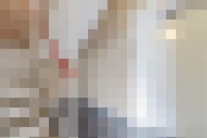 Sperwerlaan 133 Hoogeveen thumbnail 5