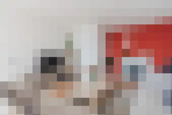 Sperwerlaan 133 Hoogeveen thumbnail 8