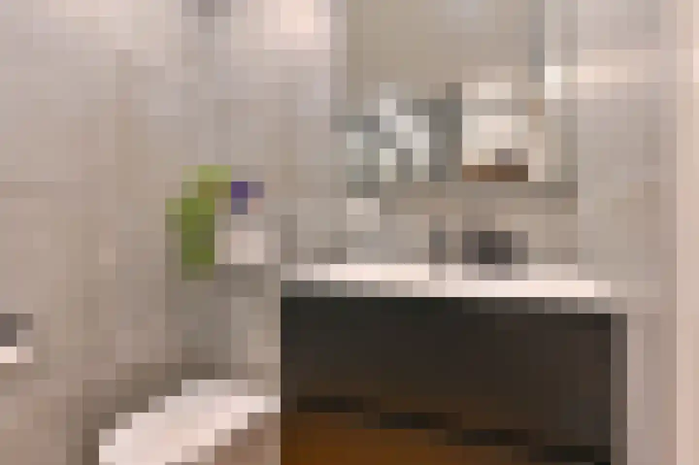 Sperwerlaan 139 Hoogeveen thumbnail 29