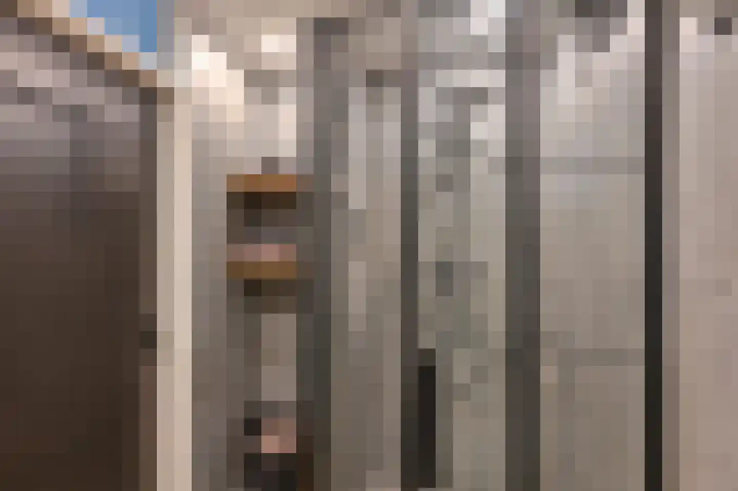 Sperwerlaan 139 Hoogeveen thumbnail 31