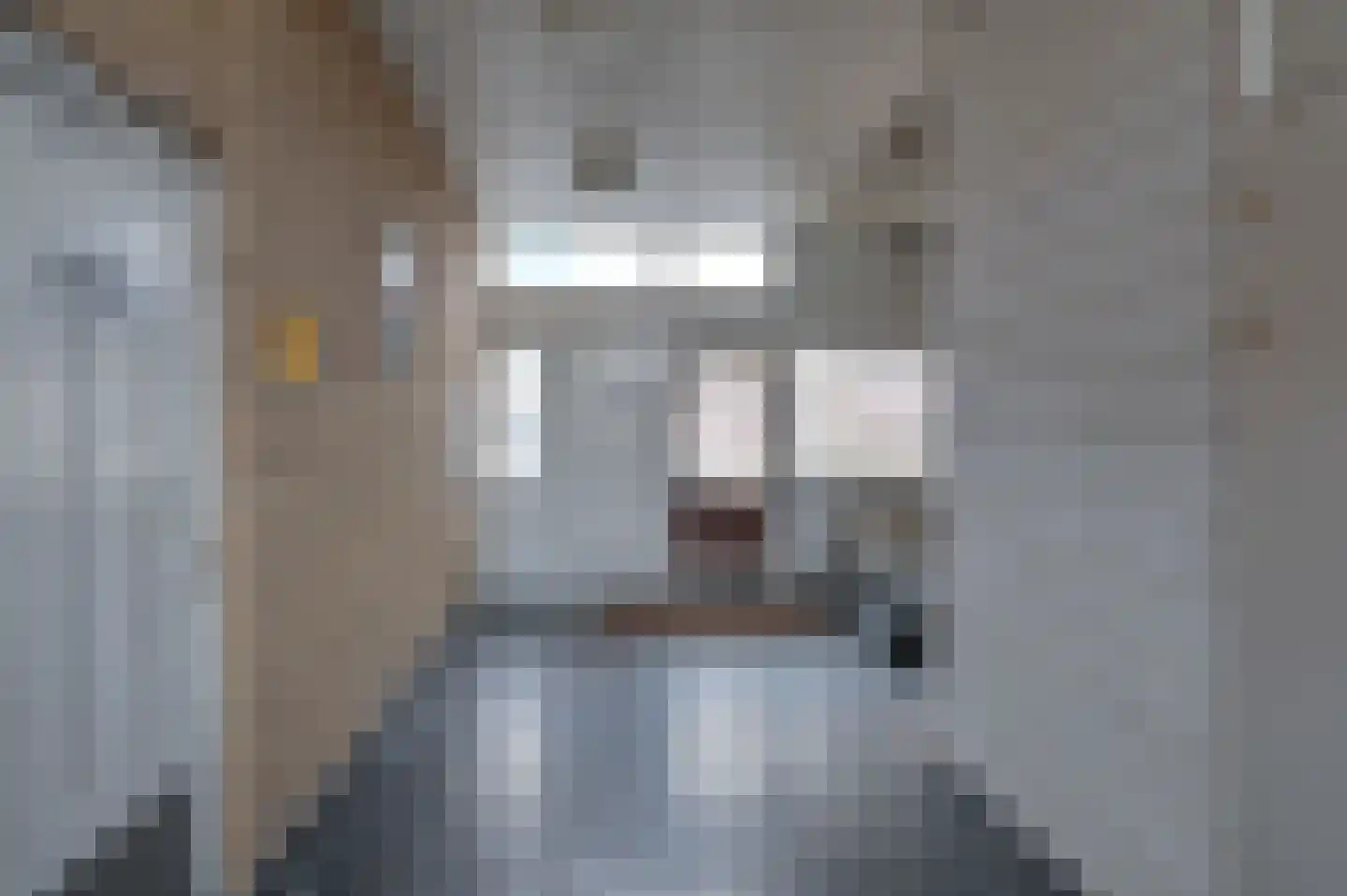 Sperwerlaan 139 Hoogeveen thumbnail 4