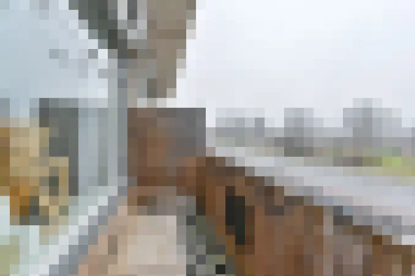 Sperwerlaan 139 Hoogeveen thumbnail 41