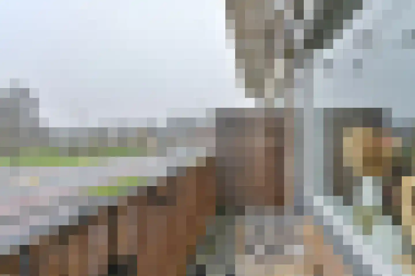 Sperwerlaan 139 Hoogeveen thumbnail 42