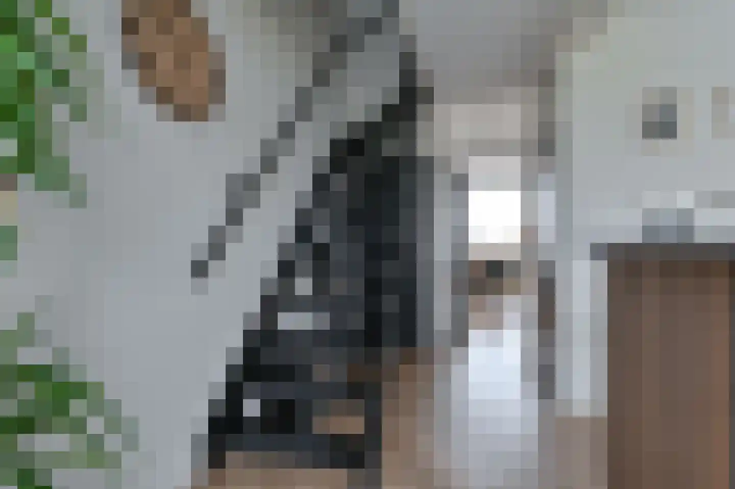 Sperwerlaan 139 Hoogeveen thumbnail 8