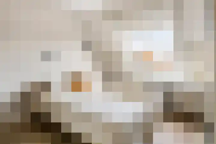 Sperwerlaan 150 Leerdam thumbnail 21