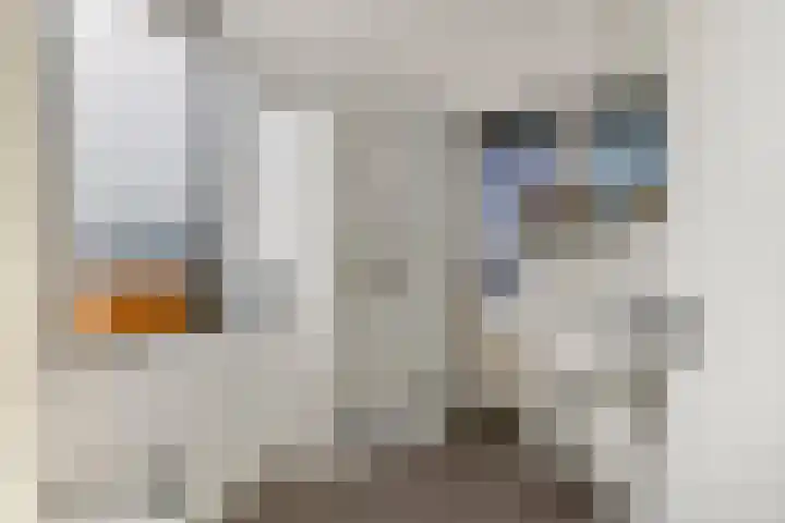 Sperwerlaan 150 Leerdam thumbnail 27
