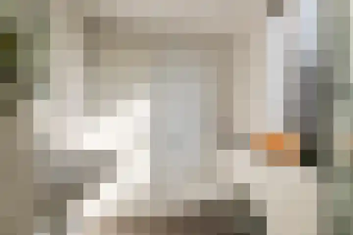 Sperwerlaan 150 Leerdam thumbnail 28