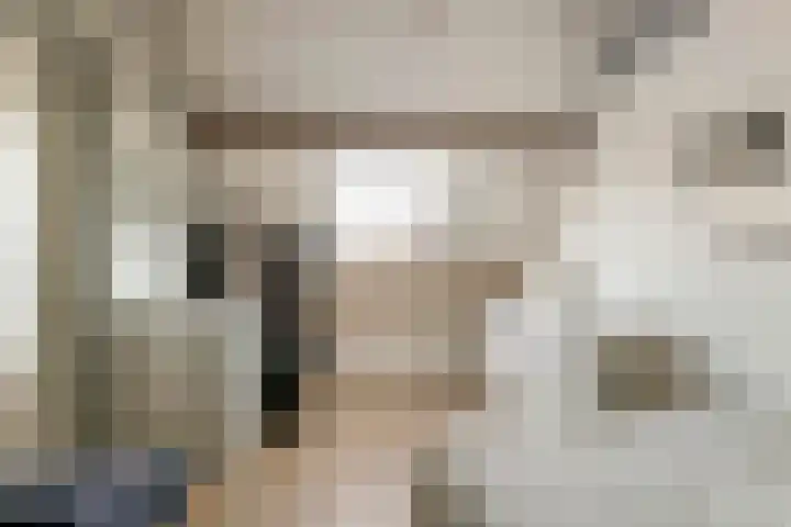 Sperwerlaan 150 Leerdam thumbnail 30
