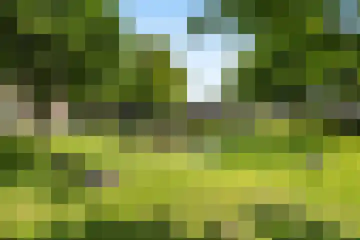 Sperwerlaan 150 Leerdam thumbnail 34