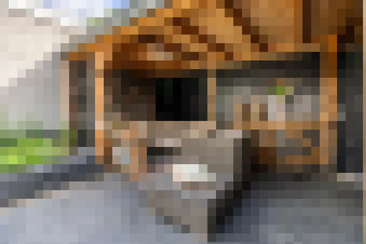 Sperwerlaan 19 Leerdam thumbnail 4