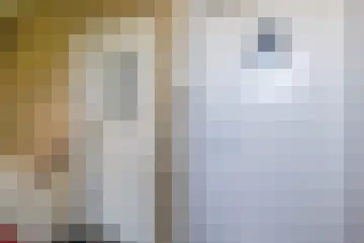 Sperwerlaan 27 Hoogeveen thumbnail 10