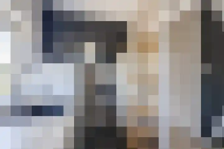 Sperwerlaan 27 Hoogeveen thumbnail 16