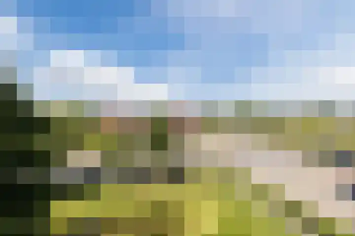 Sperwerlaan 27 Hoogeveen thumbnail 36