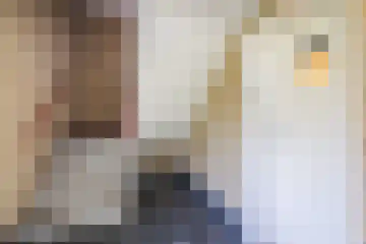 Sperwerlaan 27 Hoogeveen thumbnail 7